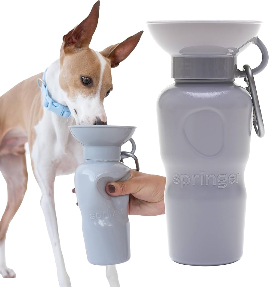 SPRINGER Classic Dog Travel Bottle 650ml