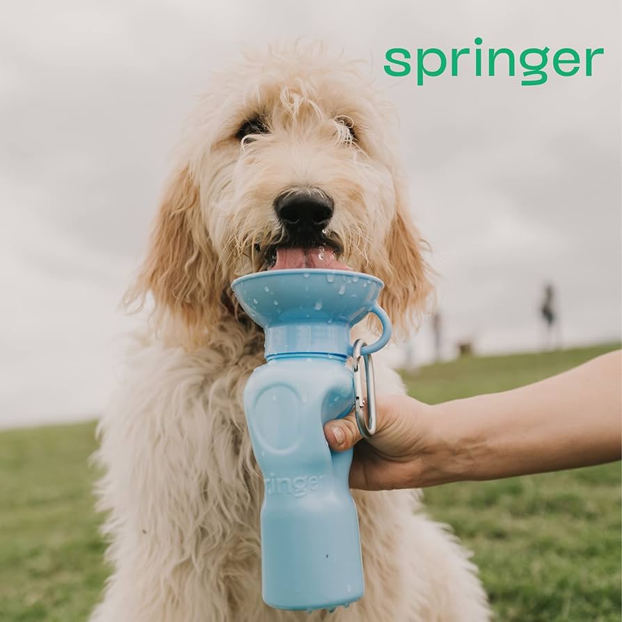 SPRINGER Classic Dog Travel Bottle 650ml