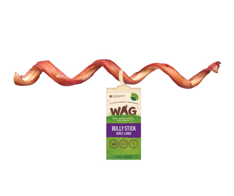 WAG Bully Stick Curly Large