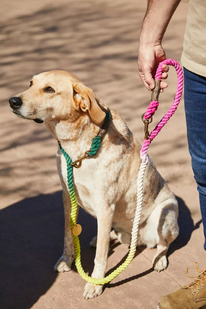 FOUND MY ANIMAL Adjustable Rope Dog Leash