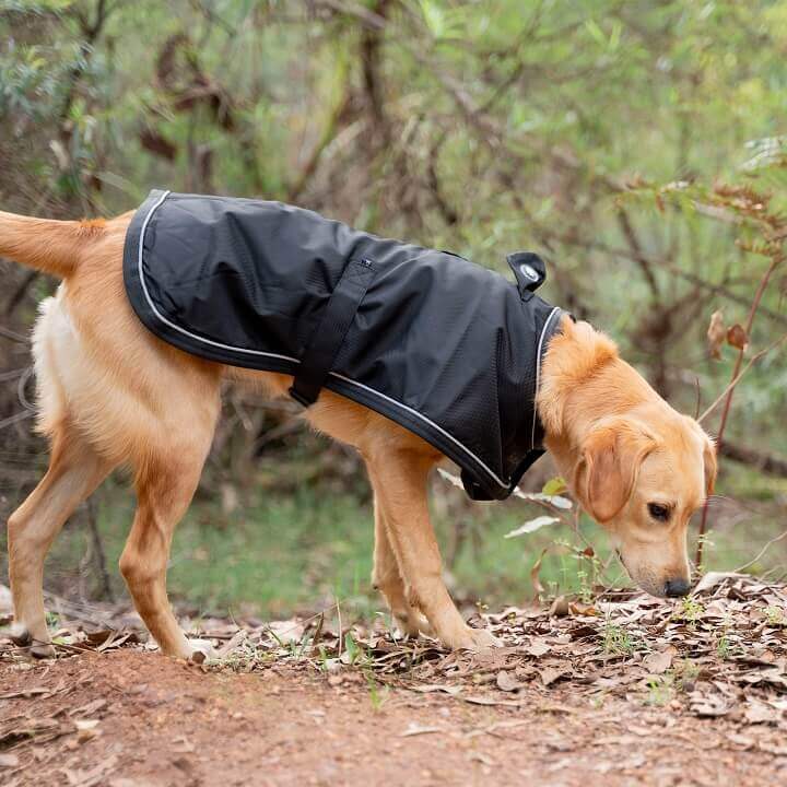 HUSKIMO Summit Pro Coat for Dogs