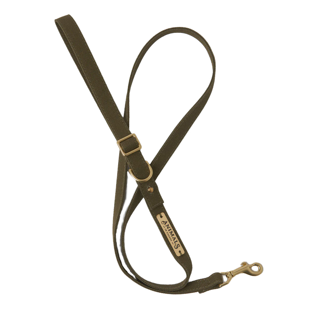 Olive Easy Tie Flat Dog Leash