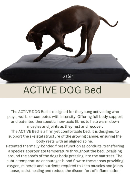STAN Active Dog Bed in Linen / Peacock