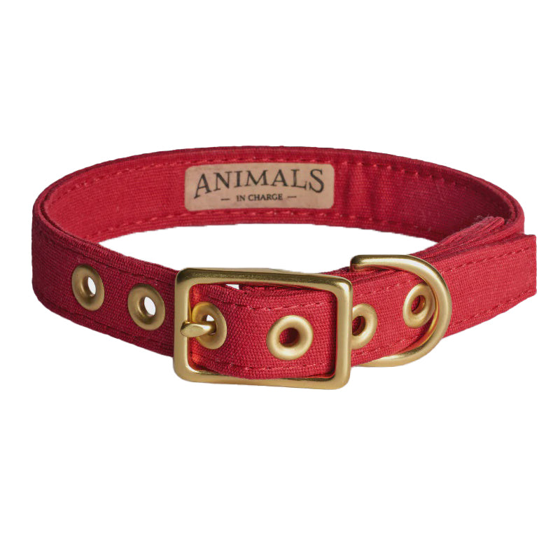 Red + Brass All Weather Collar