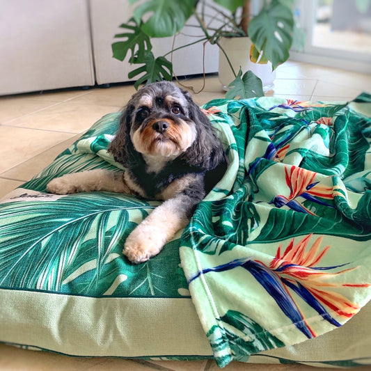 INDIEBOHO Designer Pet Blanket