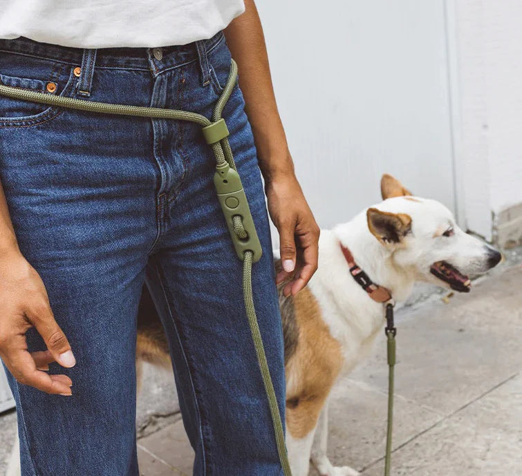 Zee Dog - Handsfree Leash