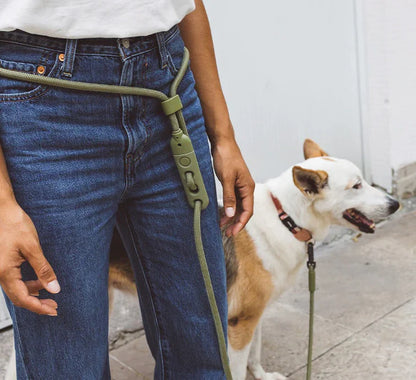 Zee Dog - Handsfree Leash