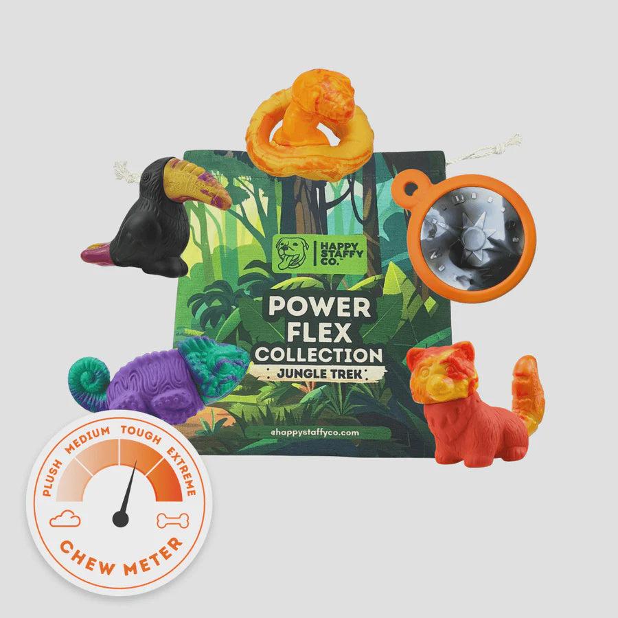 Happy Staffy - PowerFlex™ Jungle Trek Collection