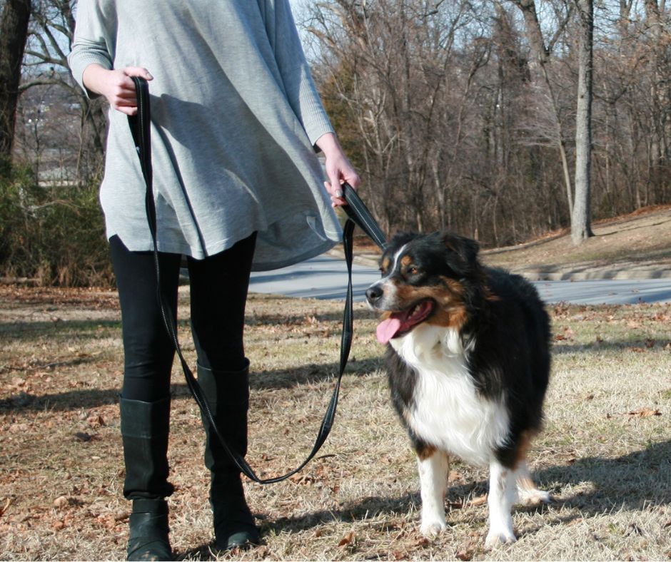 Sporn Training Leash