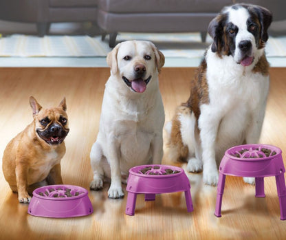 Outward Hound 3in1 UP Adjustable Height Feeder