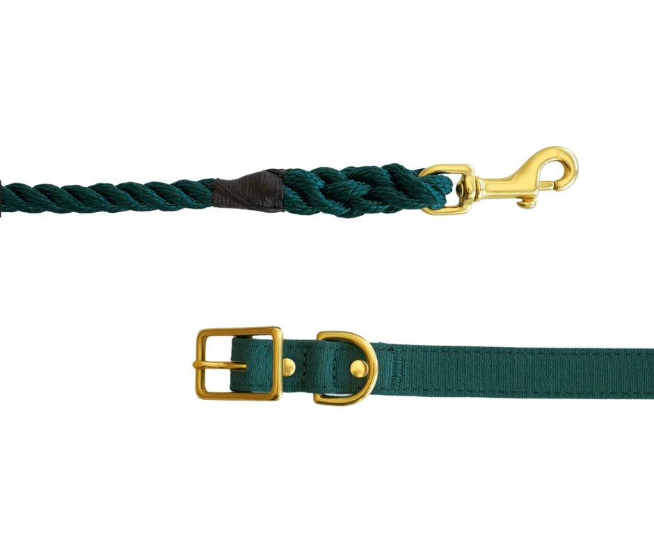 Forest Green + Brass Rope Dog Leash