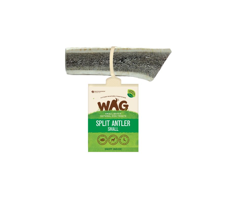 WAG Antler