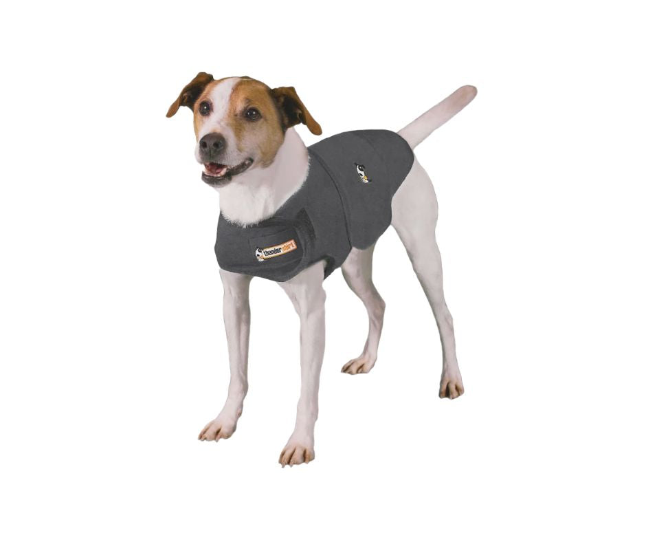 ThunderShirt Grey Anxiety Jacket Medium