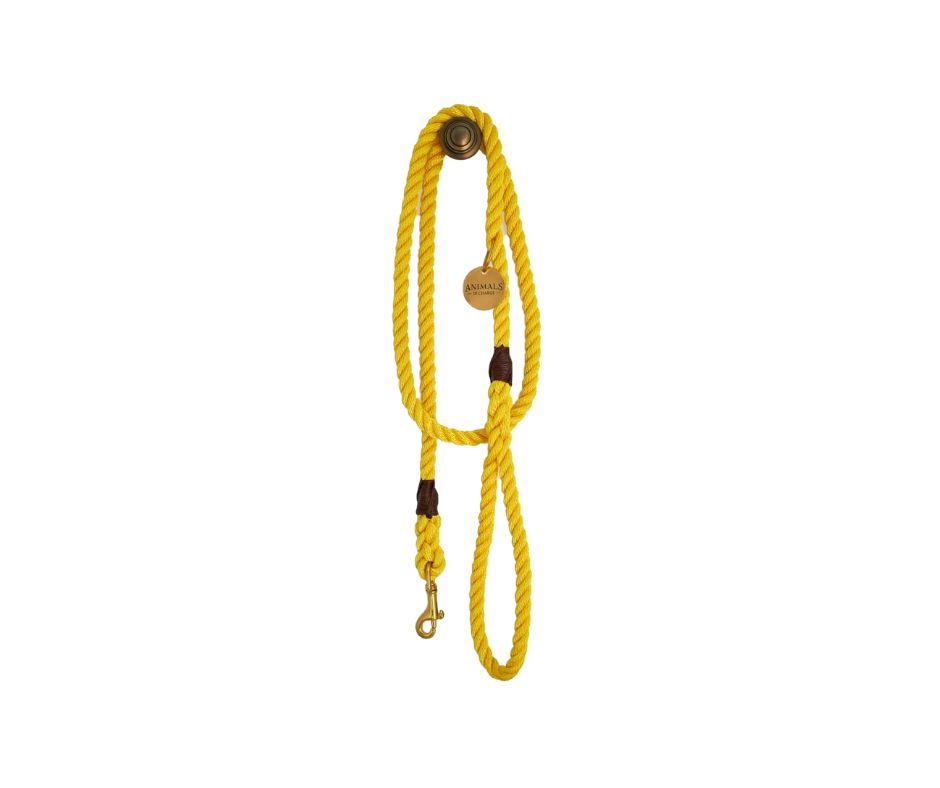 Butter Yellow + Brass Rope Dog Leash