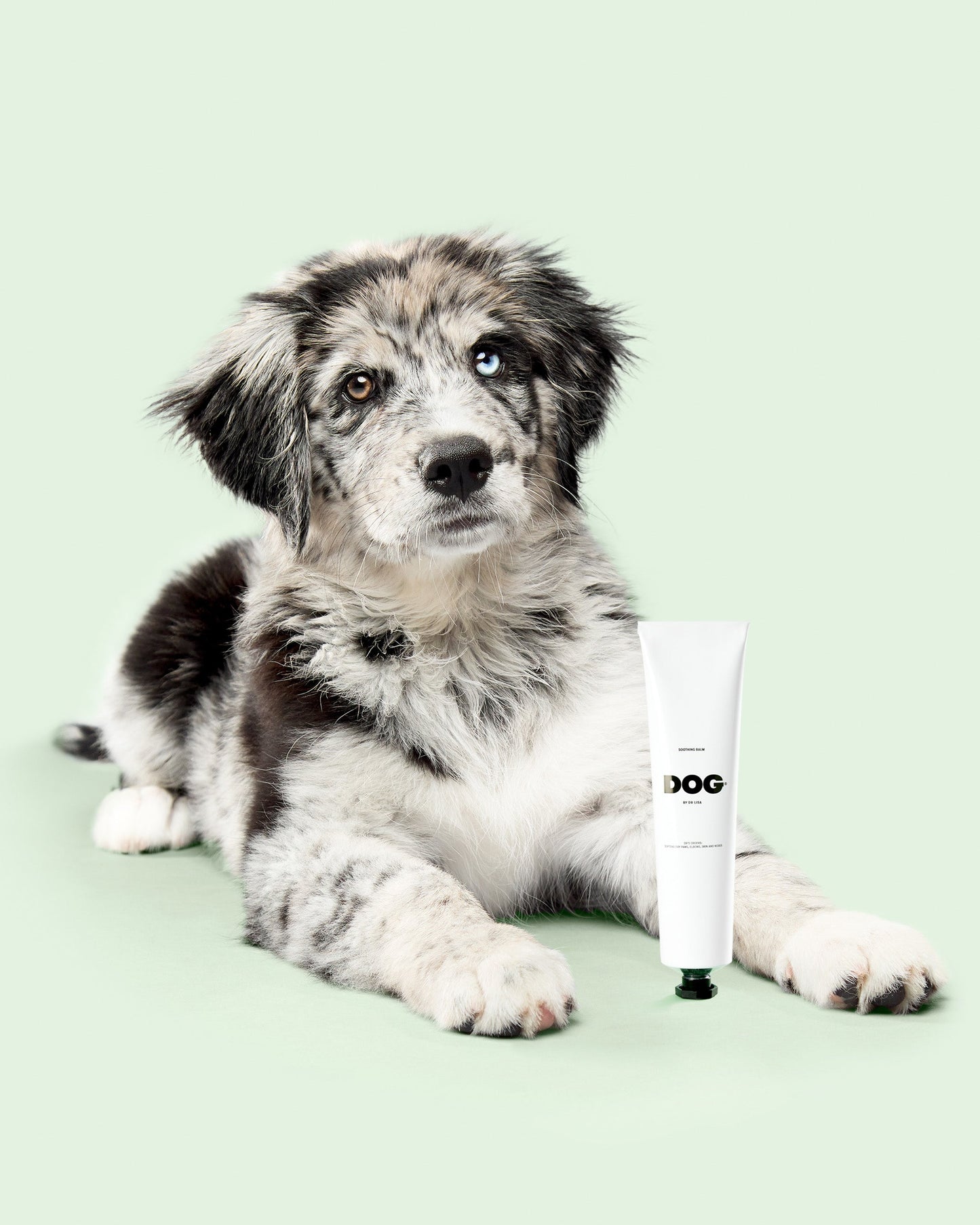 DOG by Dr Lisa Soothing Balm