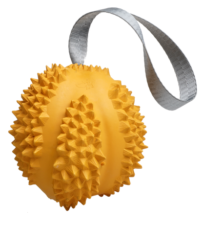 PETOPIA Ultra Tough Dog Toy / Durable Durian