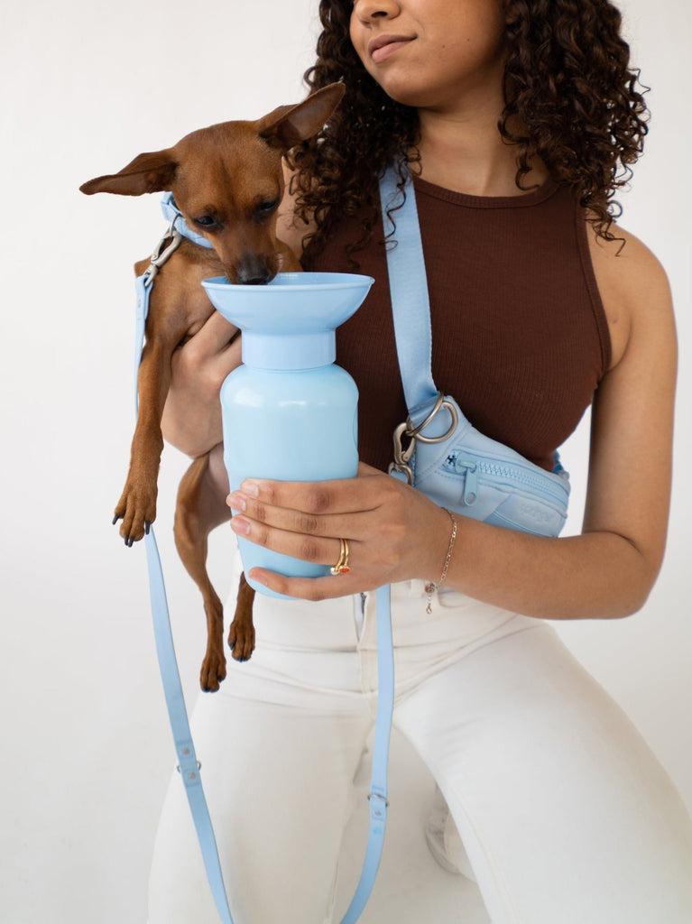 SPRINGER Classic Dog Travel Bottle 650ml