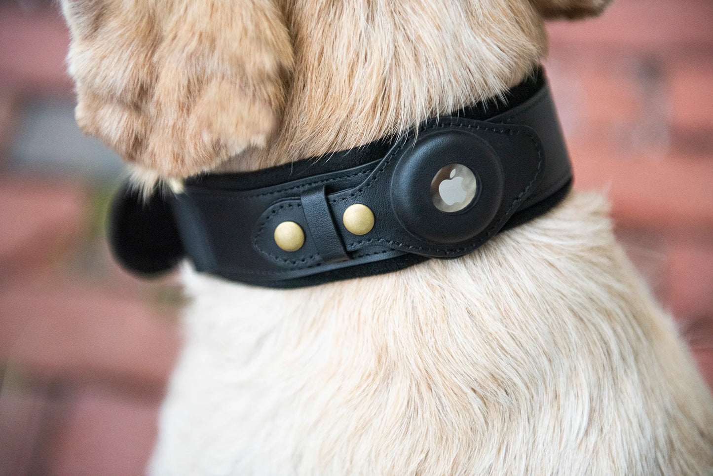 Leather AirTag Dog Collar by Dogs in Town