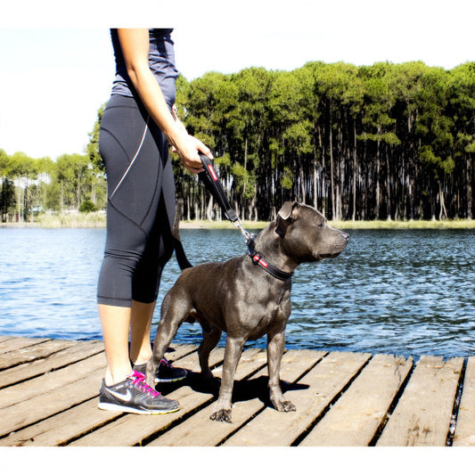 EZYDOG Mongrel Leash