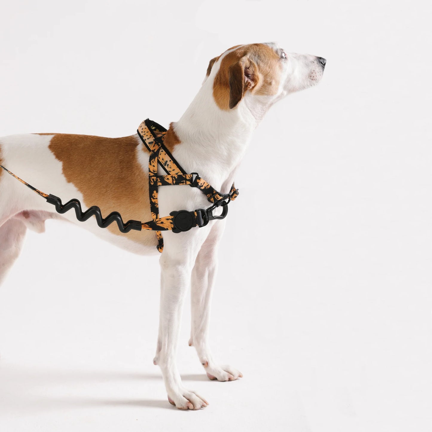 Zee Dog - Bossa Banana | Softer Walk Harness