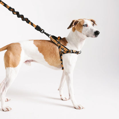 Zee Dog - Bossa Banana | Softer Walk Harness
