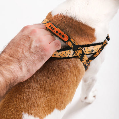 Zee Dog - Bossa Banana | Softer Walk Harness
