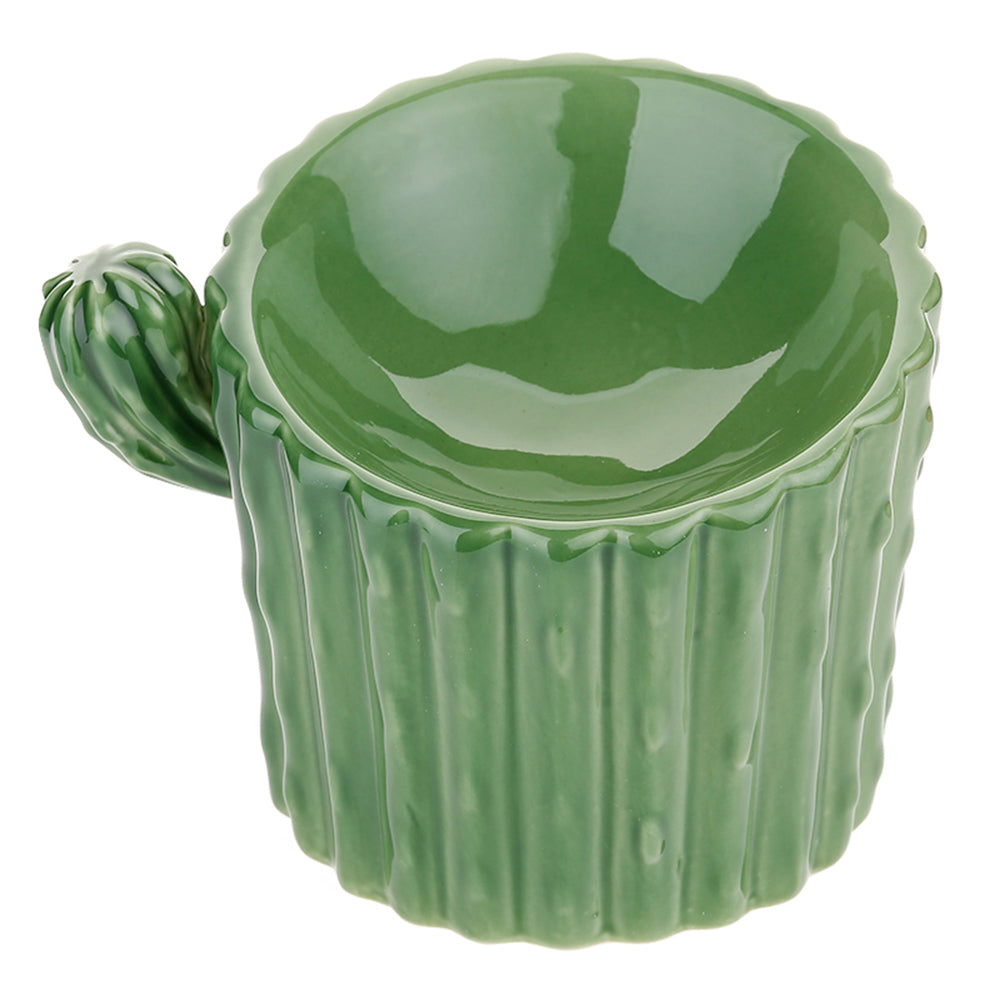 Hazel Surprises - Cactus bowl