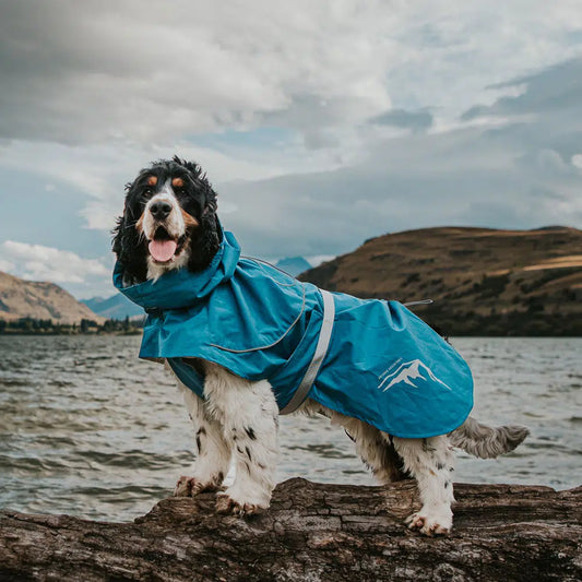 HUSKIMO Peak Raincoat for Dog