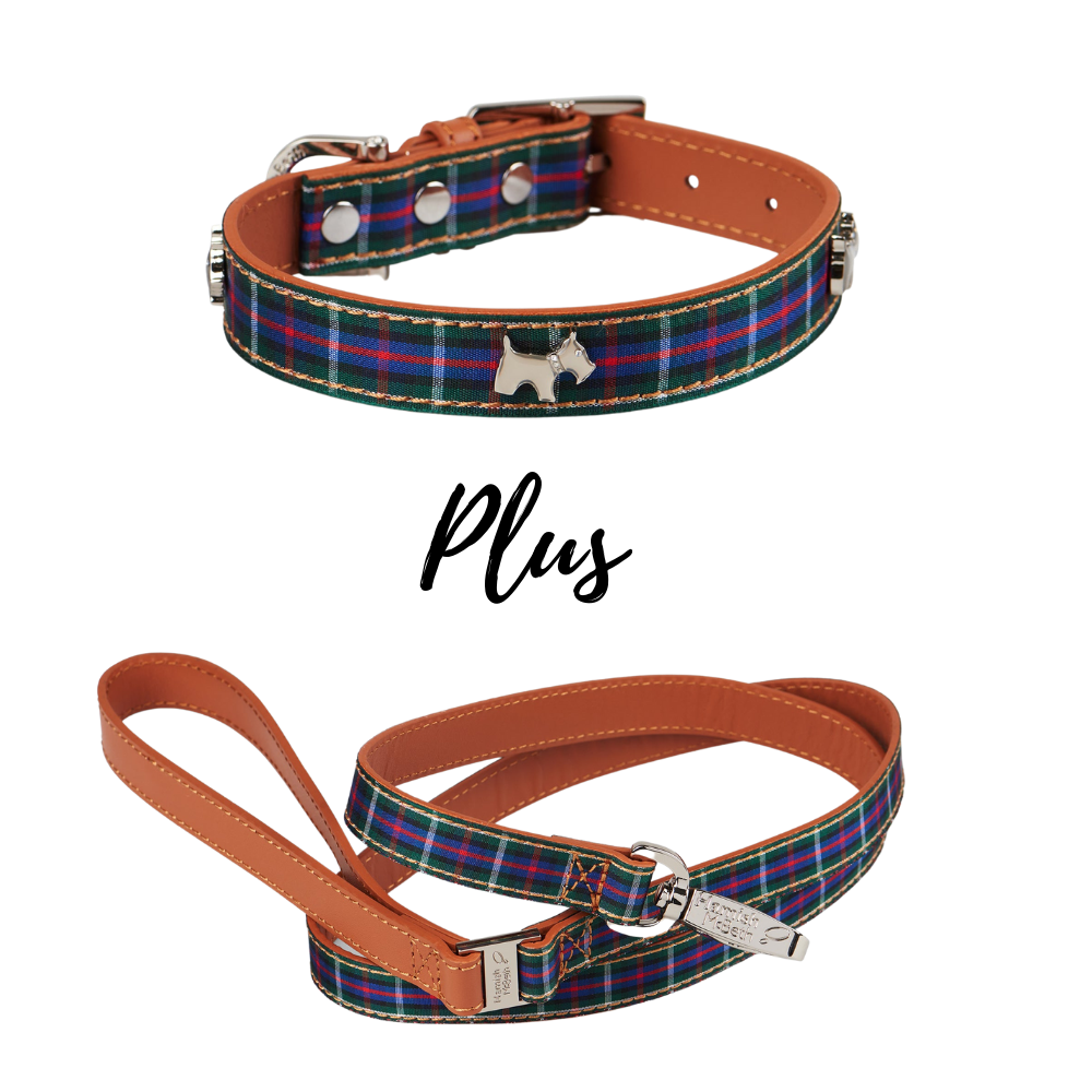 HAMISH MCBETH Highland Tartan Dog Collar