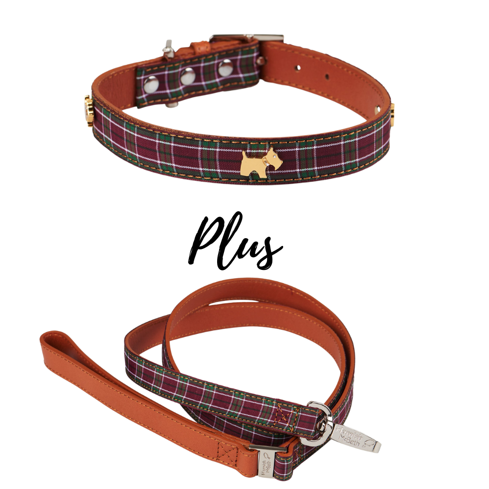 HAMISH MCBETH Highland Tartan Dog Collar