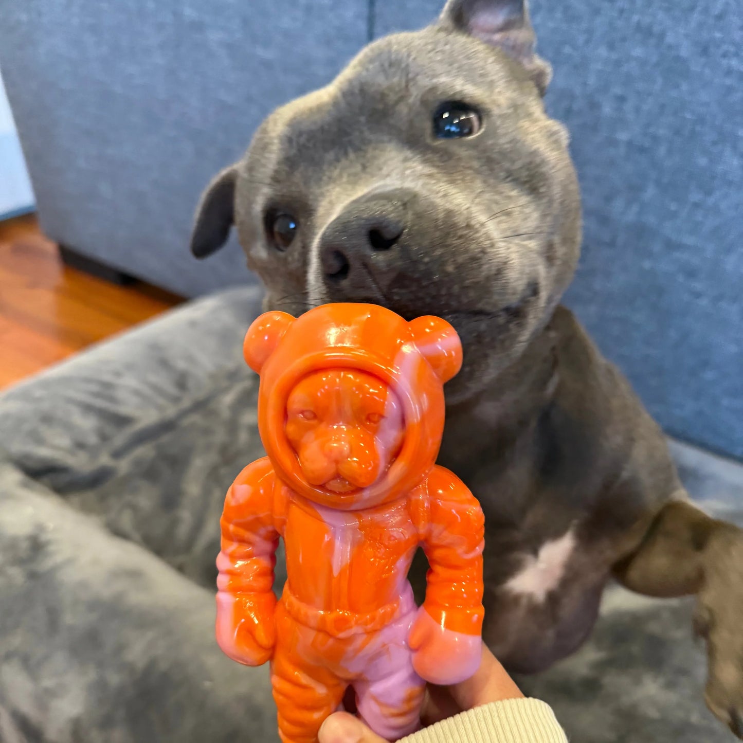 Happy Staffy - Astro Pup Dog Toy