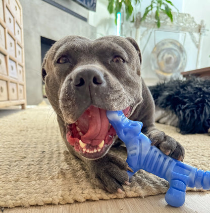 Happy Staffy - Chewzilla Gator