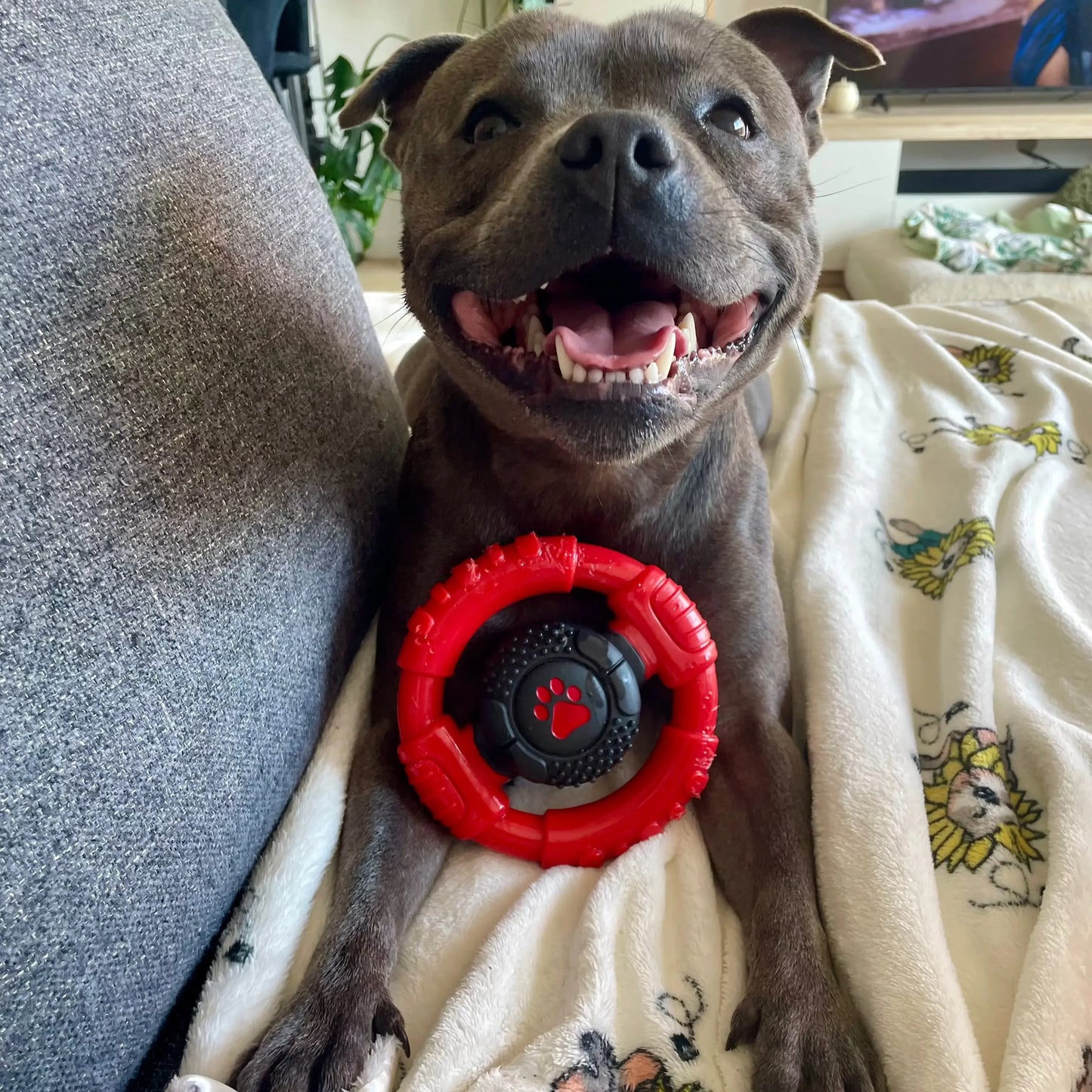 Happy Staffy - Power Chew Wheel