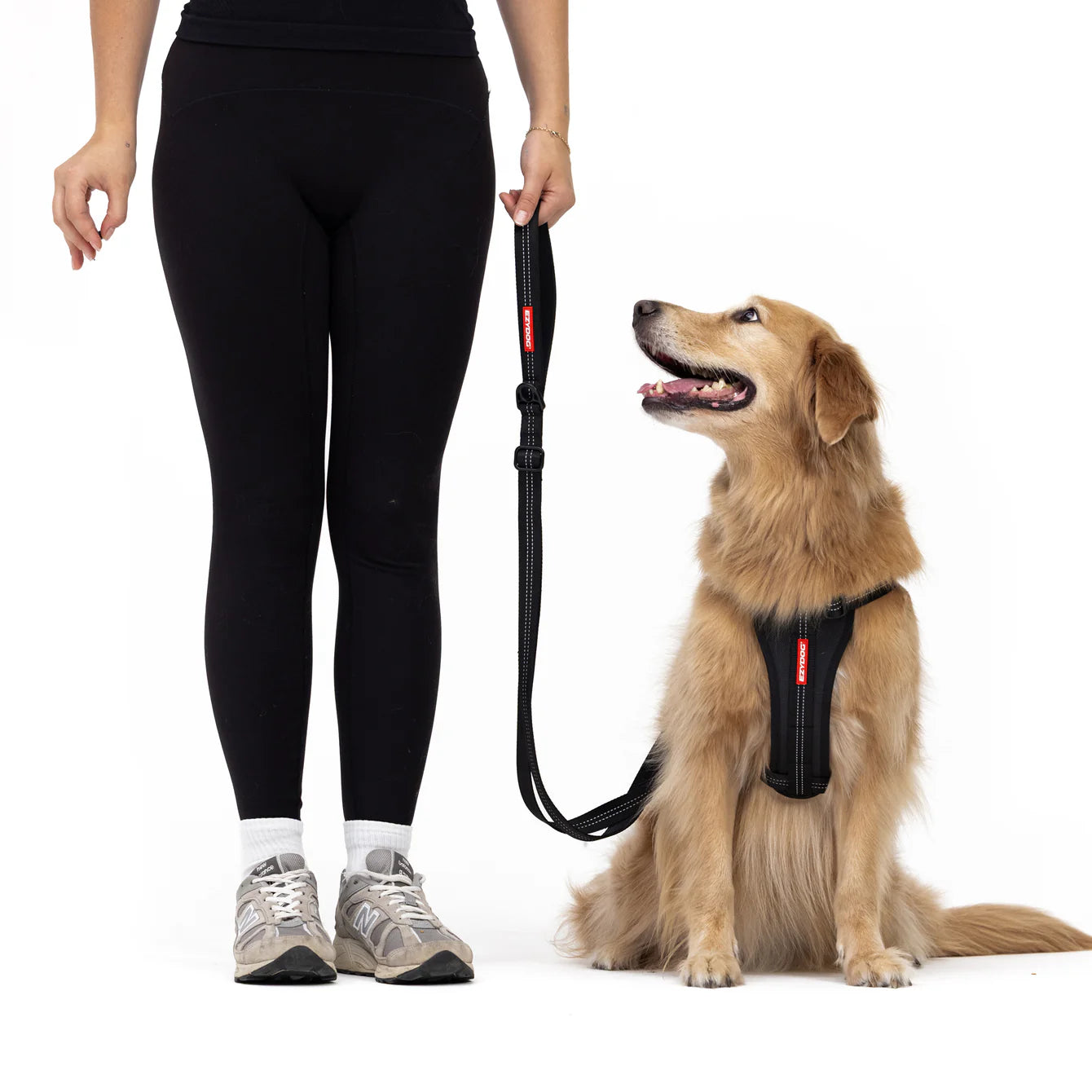 EZYDOG Essential Leash
