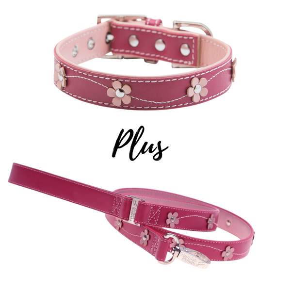 HAMISH MCBETH Lucy Leather Dog Collar