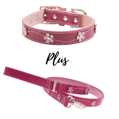 HAMISH MCBETH Lucy Leather Dog Collar