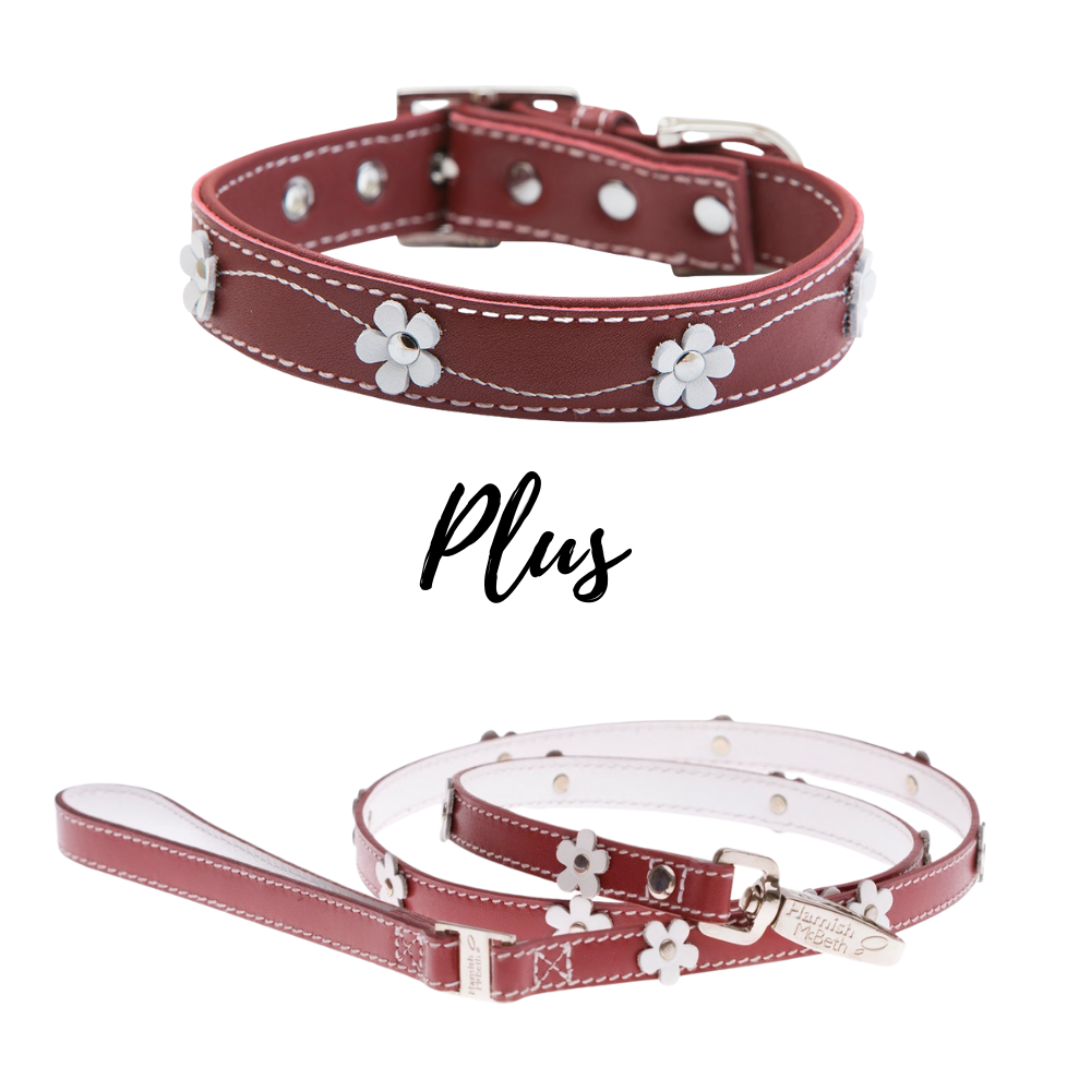 HAMISH MCBETH Lucy Leather Dog Collar