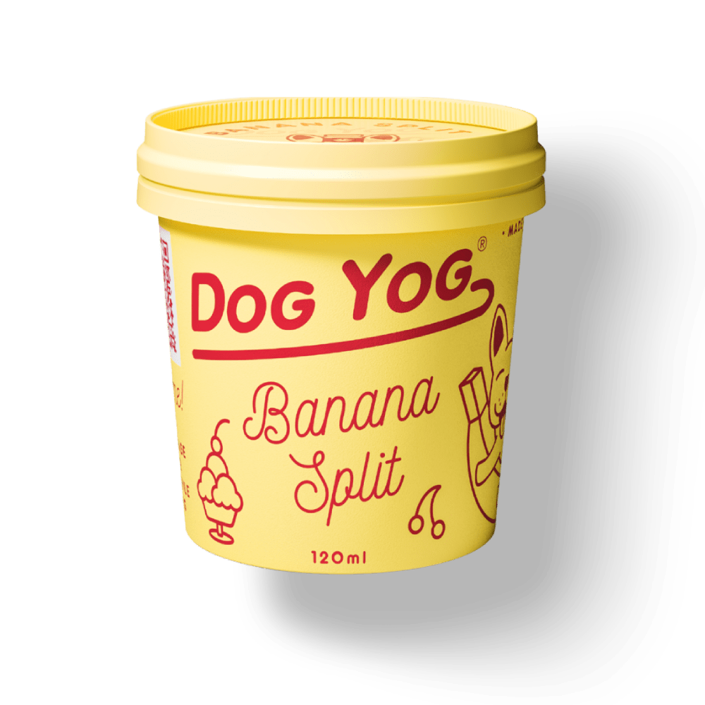 DOG YOG Probiotic Ice Cream for Dogs