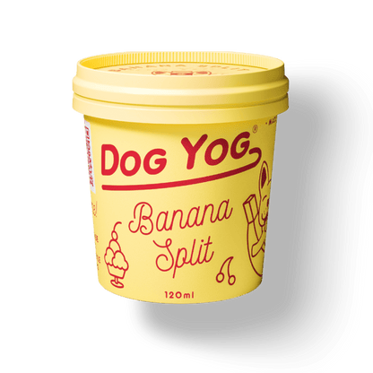 DOG YOG Probiotic Ice Cream for Dogs