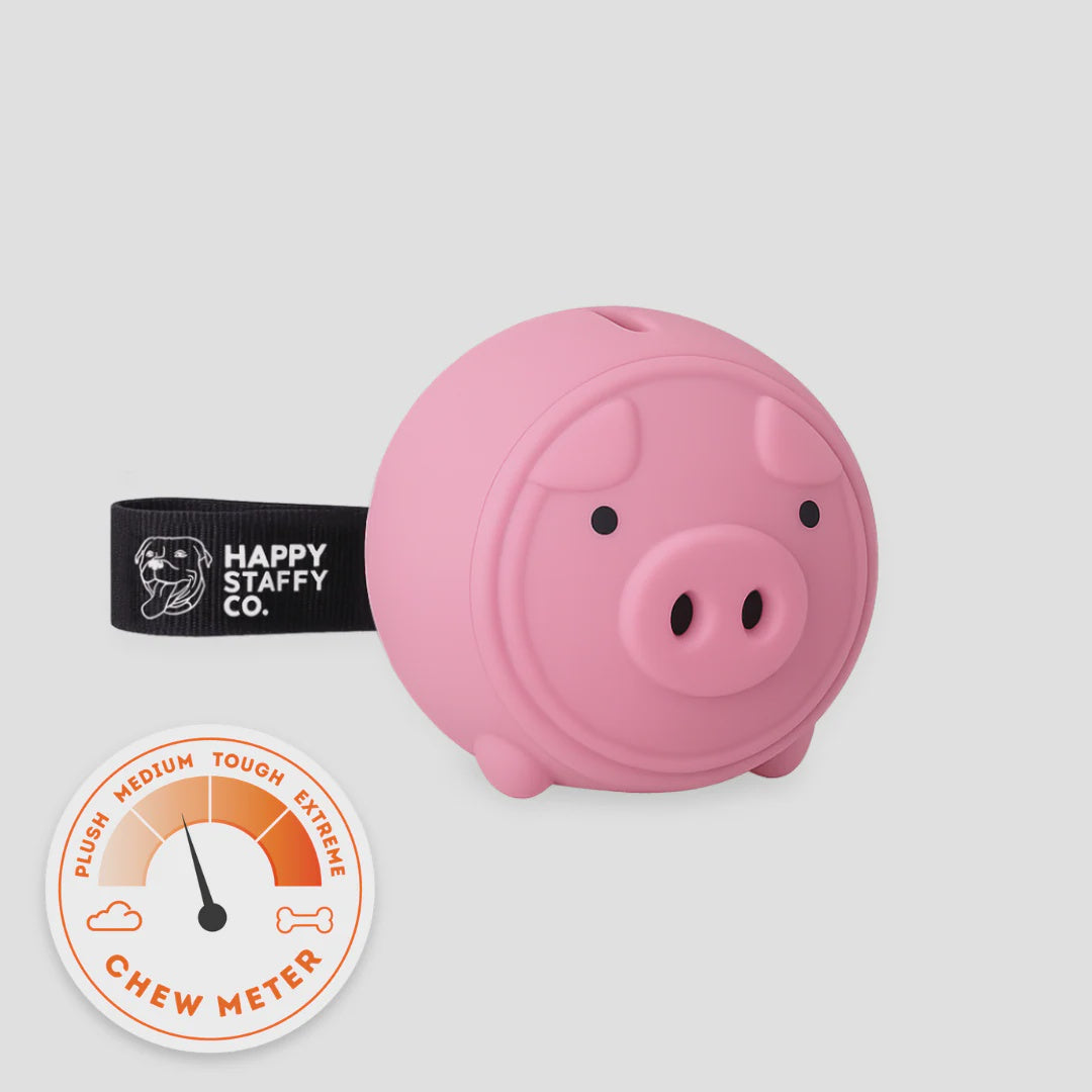Happy Staffy - Poppy Pig Treat Dispenser
