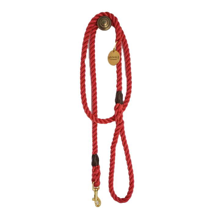 Red + Brass Rope Dog Leash