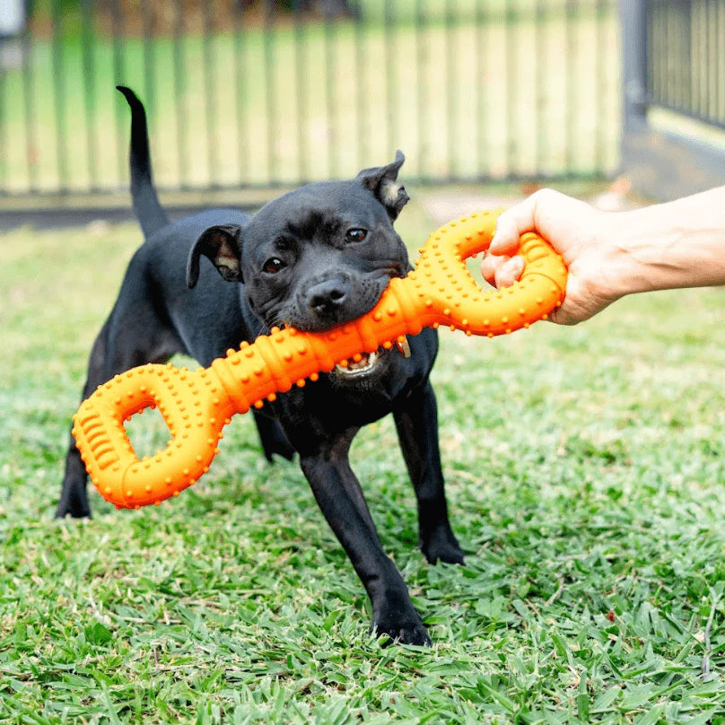 Happy Staffy - The Tommy Tug Handle