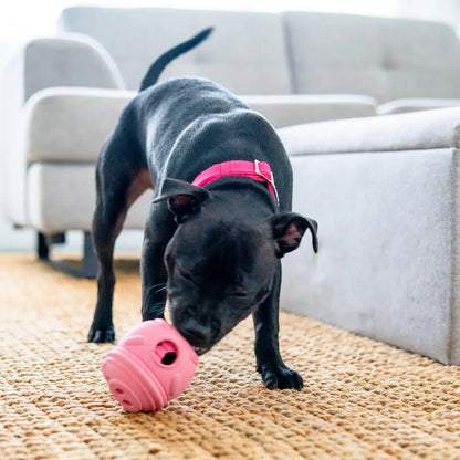 Happy Staffy - Poppy Pig Treat Dispenser