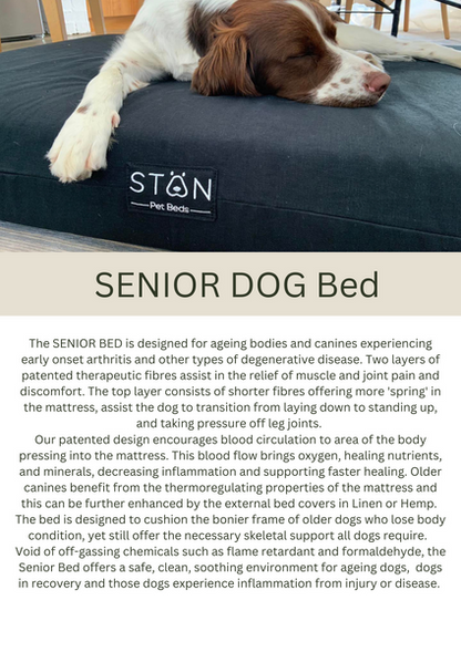STAN Senior Dog Bed in Organic Hemp / Sage