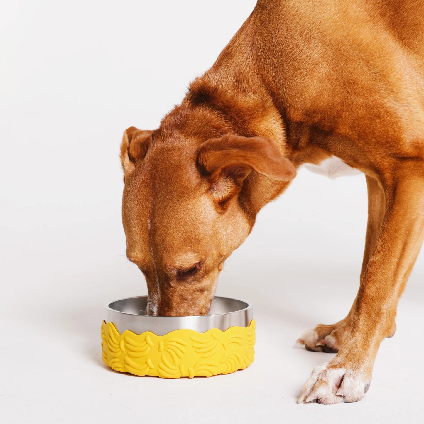 Zee Dog - Bossa Banana | Tuff Bowl