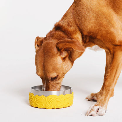 Zee Dog - Bossa Banana | Tuff Bowl