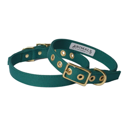 Forest Green + Brass All Weather Collar