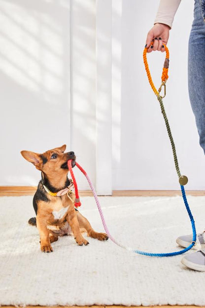 FOUND MY ANIMAL Adjustable Rope Dog Leash