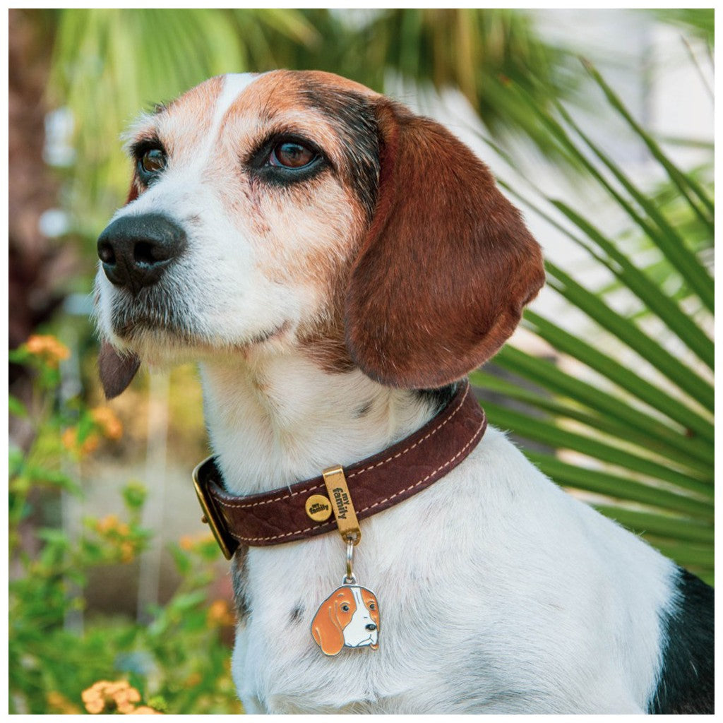 MyFamily Dog ID Tag / Beagle