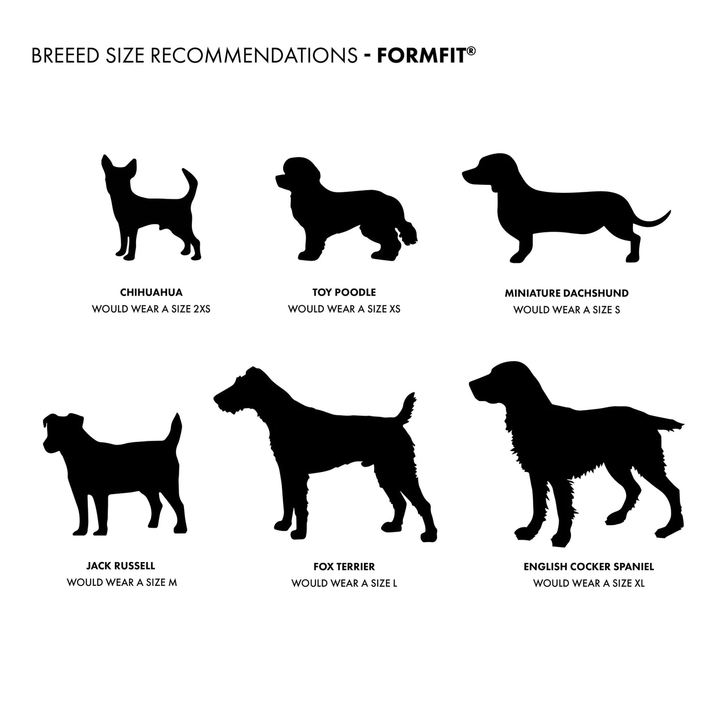Ezydog- FORMFIT® Mesh Harness